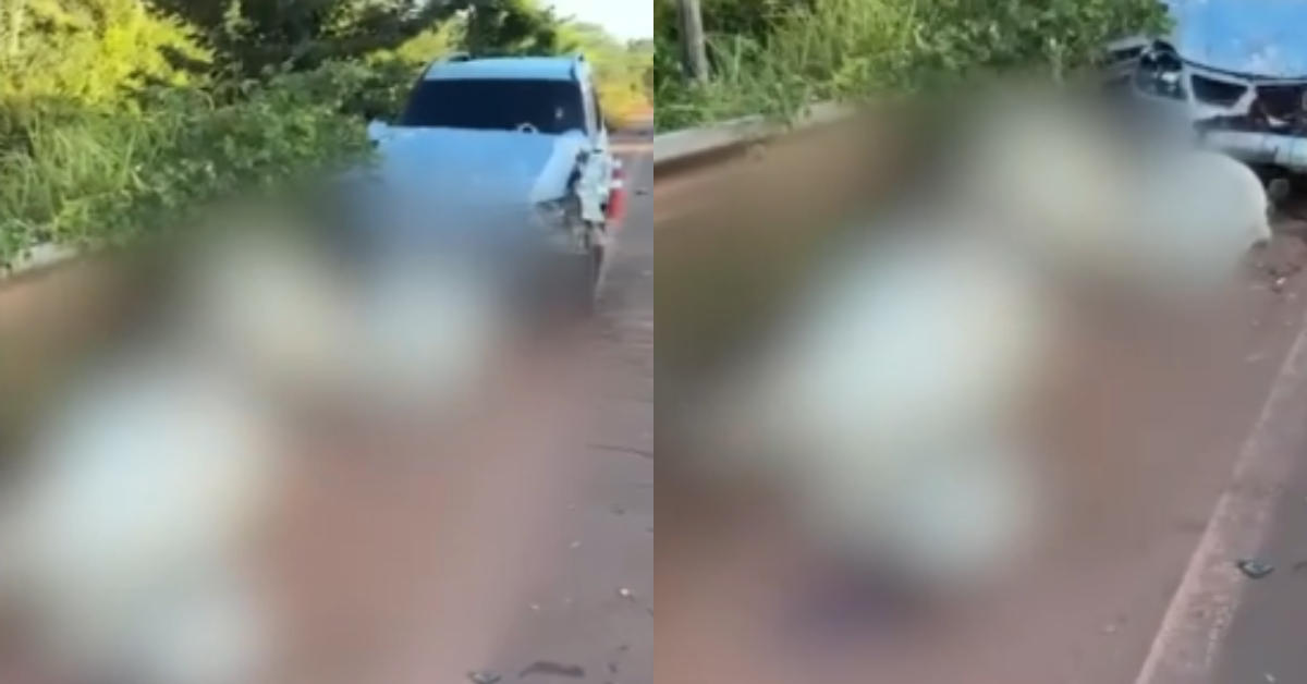 Caminhonete atinge gado e deixa quatro animais mortos no Pará — imagem 1