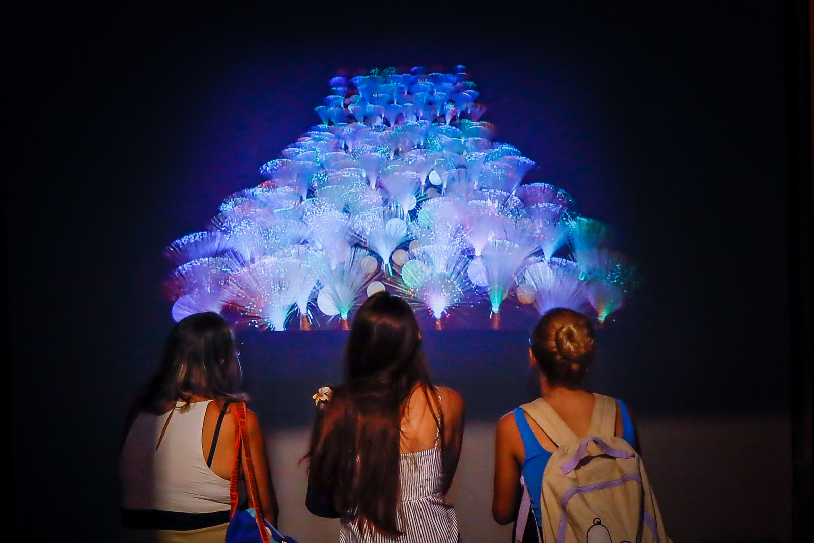 Mostra no Museu da UFPA narra o Brasil pelo olhar do Norte e Nordeste — imagem 1