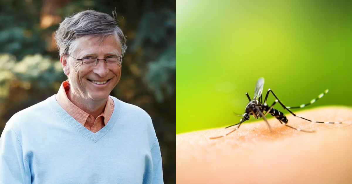 Bill Gates compartilha reportagem sobre combate à Dengue em Belém — imagem 1